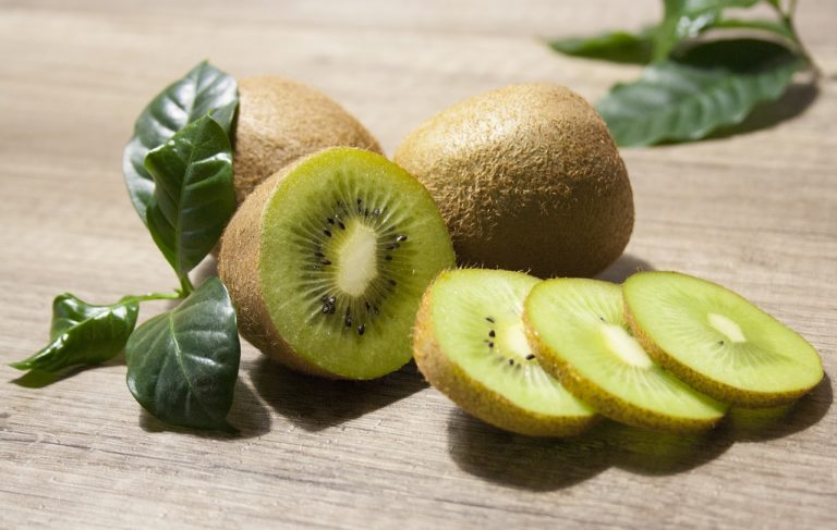 kiwi hovedbilde