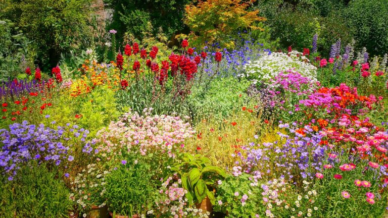 Slik planlegger du en blomstrende hage