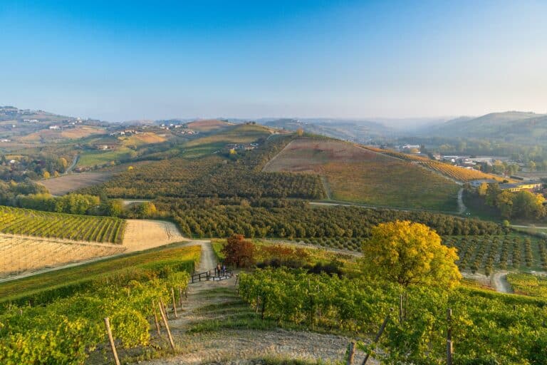 Mat og vin i vakre Piemonte