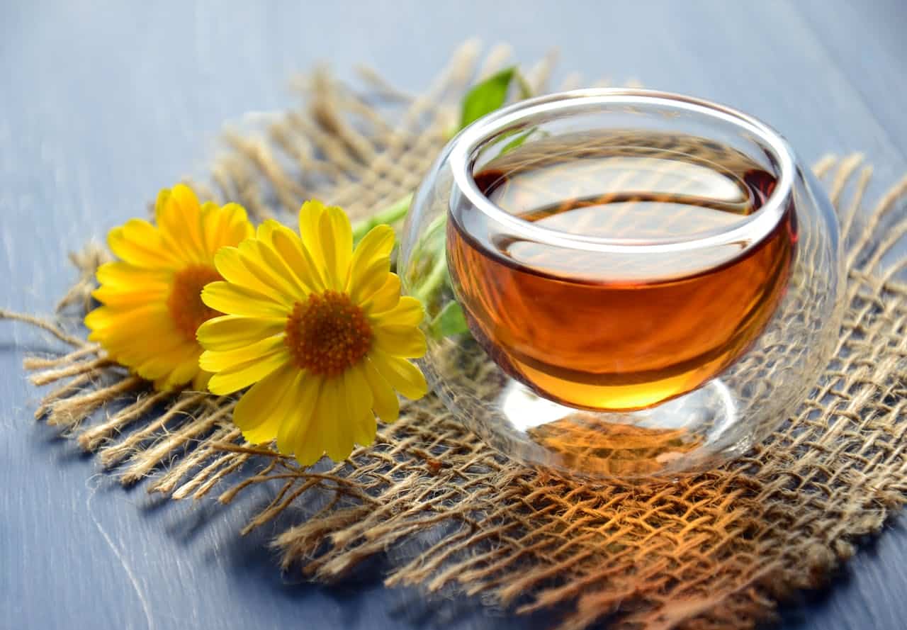 kombucha-immunforsvar