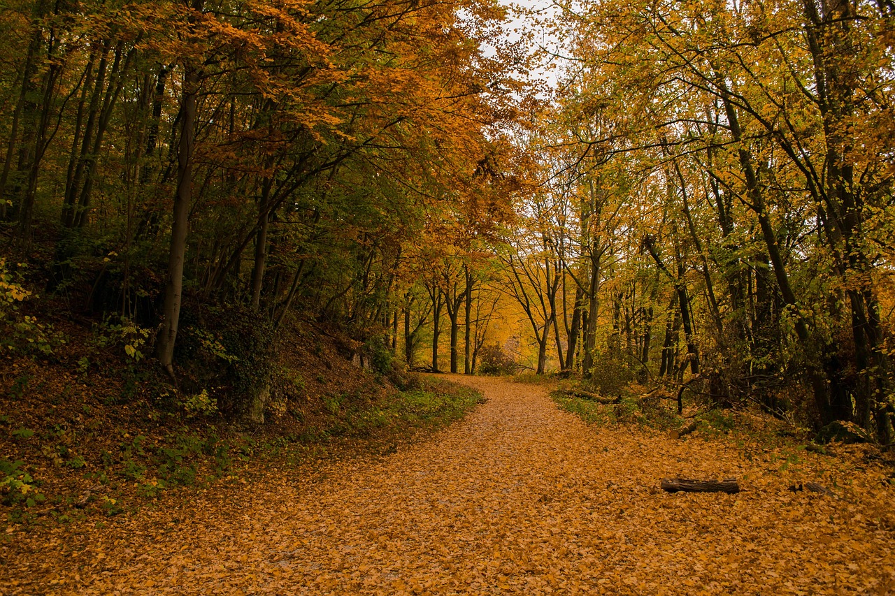 tips til en koselig høst periode
