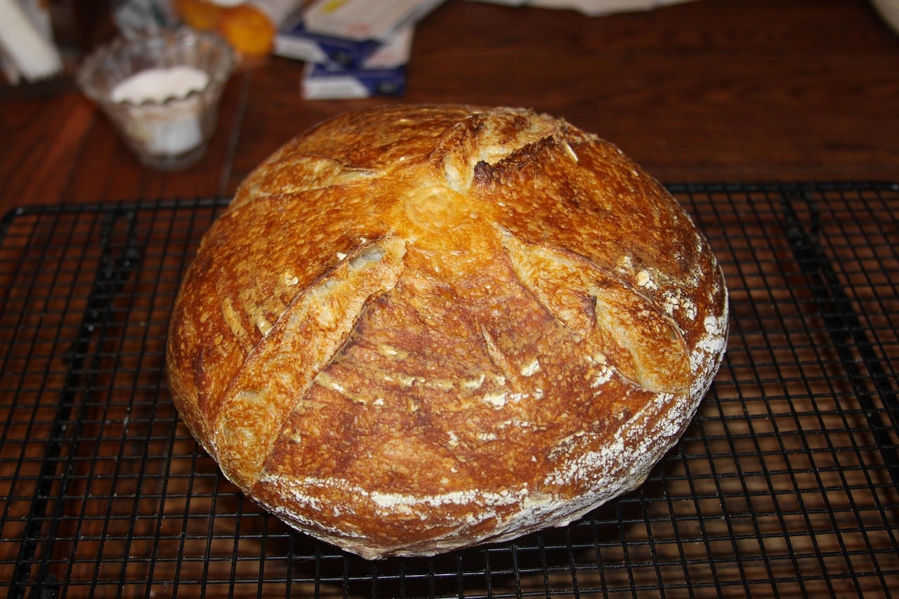 oppskrift på surdeigsstarter