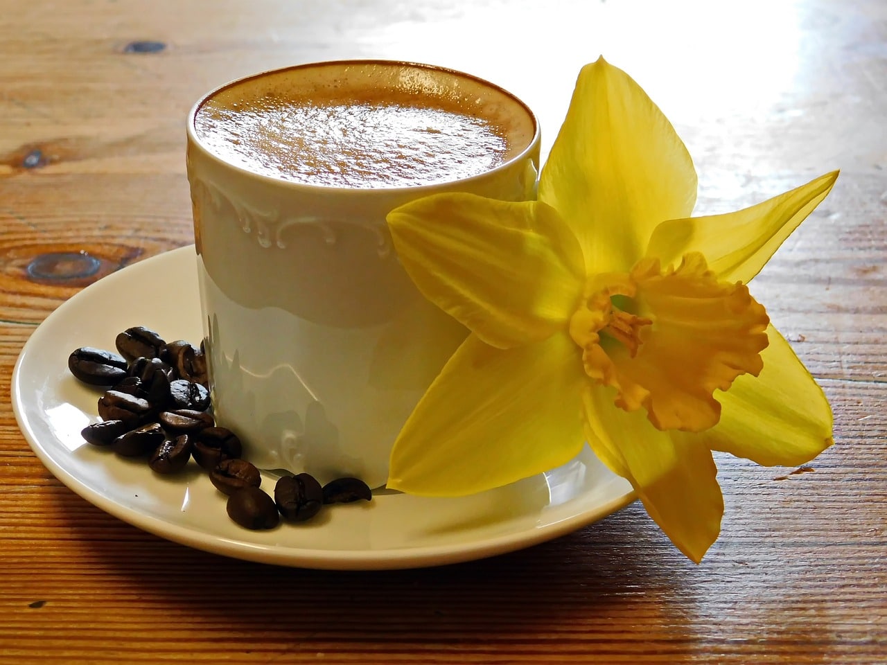 bilde av en kaffekopp med kaffebønner