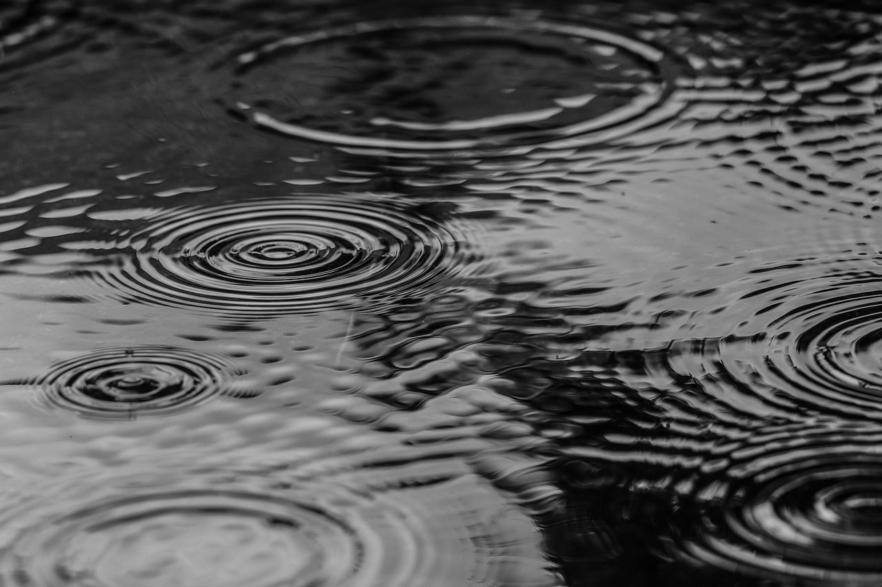 regn i høstmørket